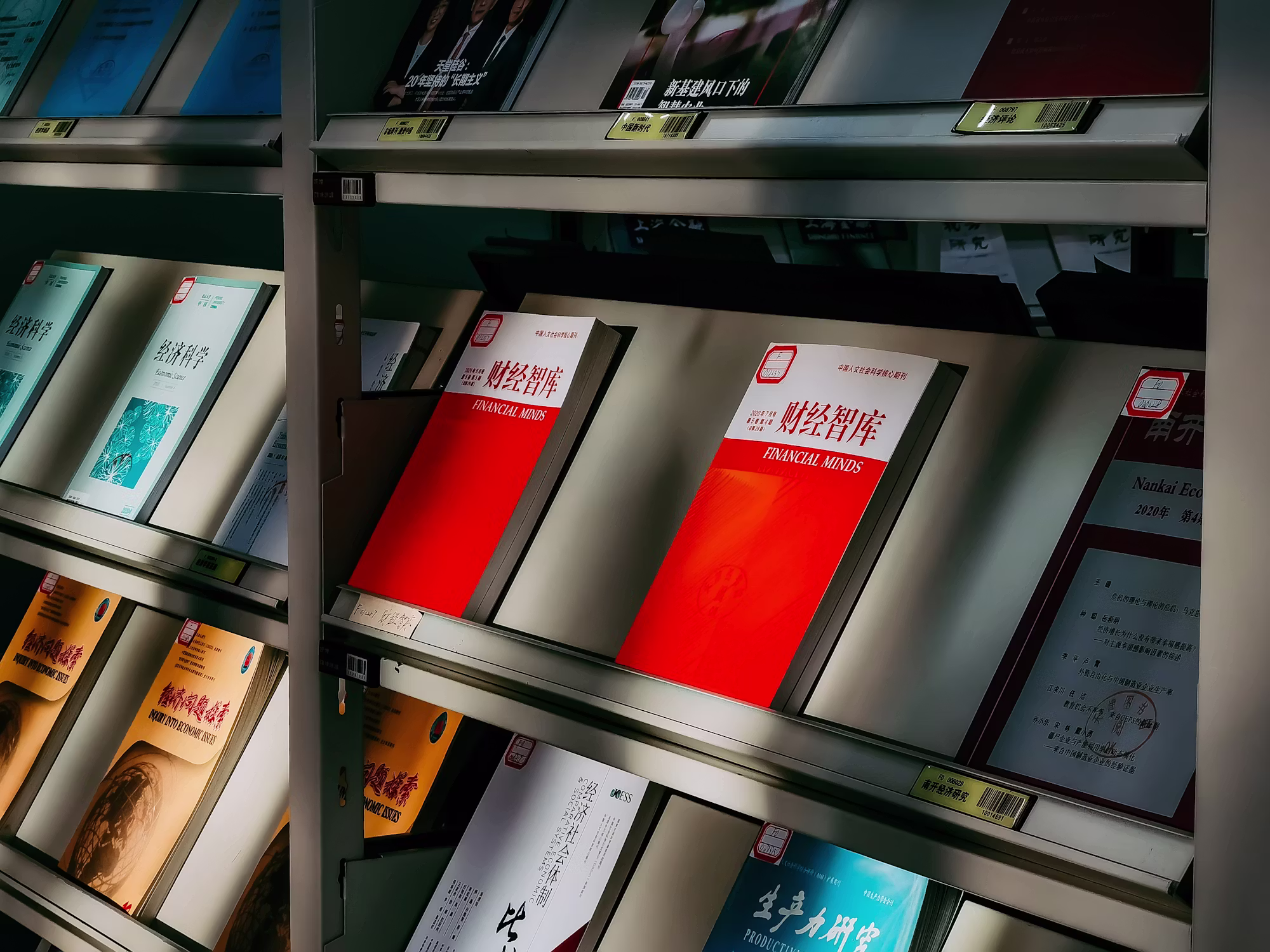 The Evolution of Library Services: Embracing Change in the Digital Age